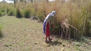 Video Mesum Kasar Di Kebun Antara Pekerja Dan Pria Nakal