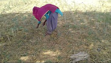 देसी इंडियन बॉयफ्रेंड ने खेत में काम कर रही अपनी मस्त चुदाई की