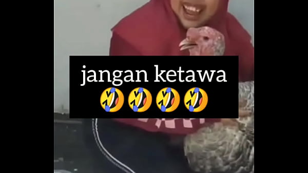 Gadis Gendut Ngeces Sambil Ngos-ngosan, Hawa Panas Bikin Crot.
