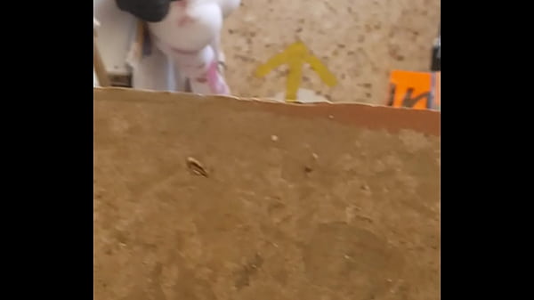 Goblok Banget Sih Perek Ini, Pake Celana Dalam Ketat Yang Kebuka Lebar Pas Dia Nunduk, Bikin Pengen Ngebor Dari Belakang.